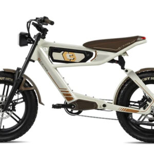 C3STROM ASTRO DELUXE: Class 3 Electric Bike
